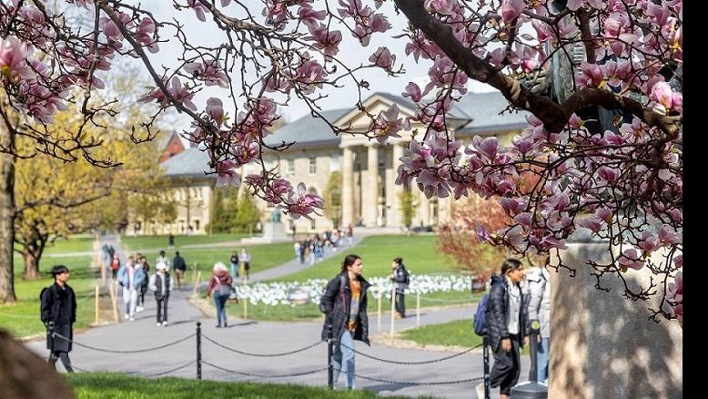 Spring on the Arts Quad