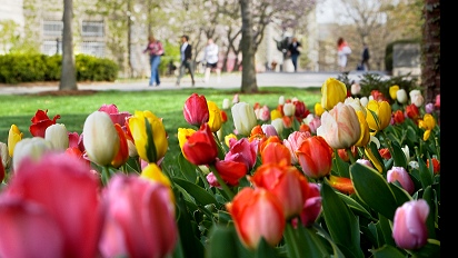 Cornell Campus in the spring, Cornell University Photography