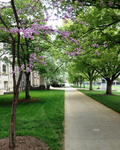 Goldwin Smith Sidewalk